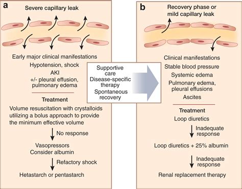 kapillarlecksyndrom symptome|Capillary Leak Syndrome: Symptoms, Causes, Treatment